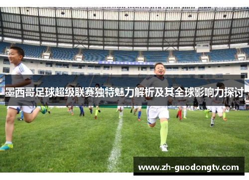 墨西哥足球超级联赛独特魅力解析及其全球影响力探讨